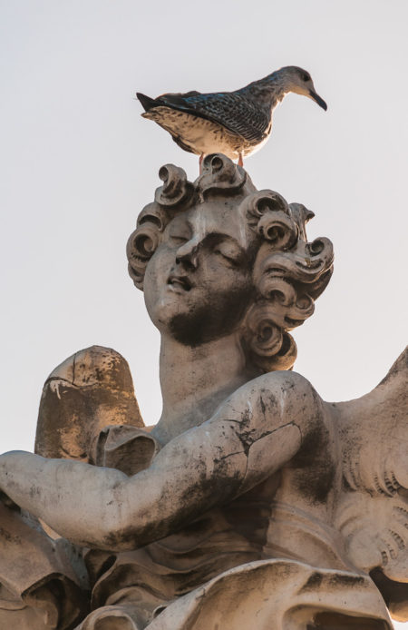 Estátua com pombo em Roma, Itália | Cozinha do João