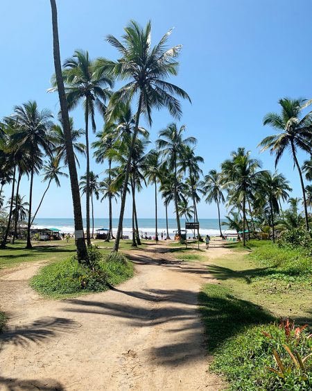 Praia em Viagem para Itacaré, Bahia, Brasil | Cozinha do João